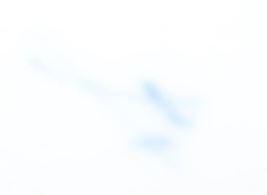 An 18th century English porcelain octagonal dish, 39.5 x 29.5cm